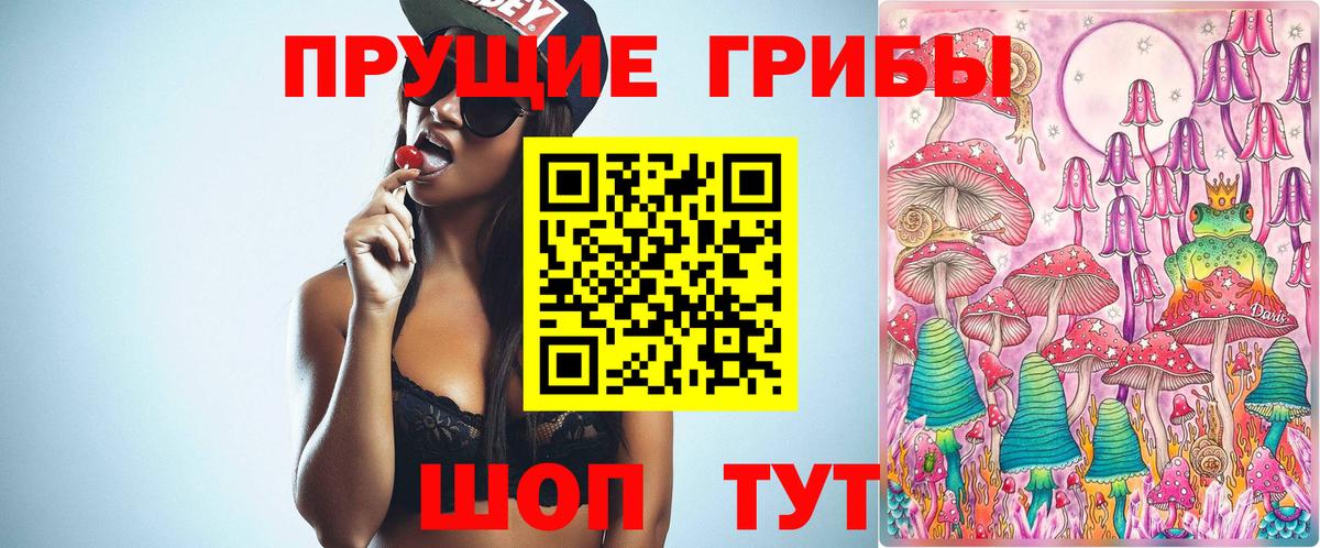 Псилоцибиновые грибы MAGIC MUSHROOMS  Вход с VPN  Кызыл 