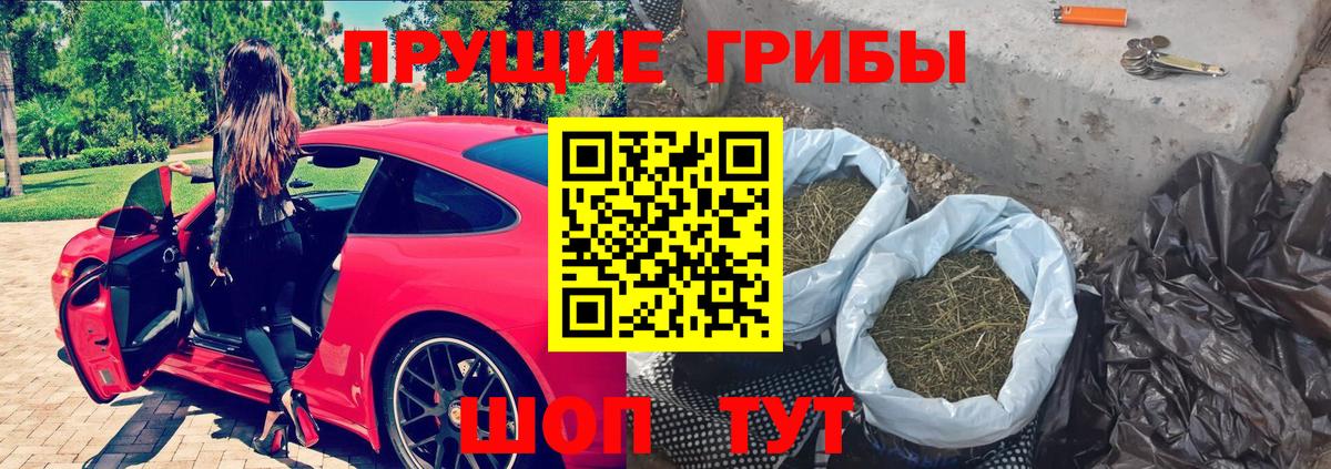 Галлюциногенные грибы прущие грибы Кызыл